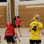 2016_01_23 Landesliga Frauen